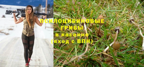 мяу мяу мука Горнозаводск