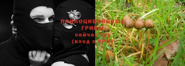 гидропоника Вязники