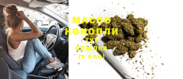 ECSTASY Горняк
