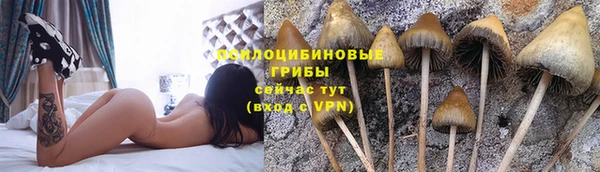 MESCALINE Вязьма