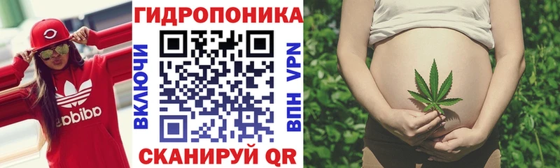 Конопля SATIVA & INDICA  Купить где  Ленинск 